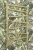 ДР Сирокко 800х500